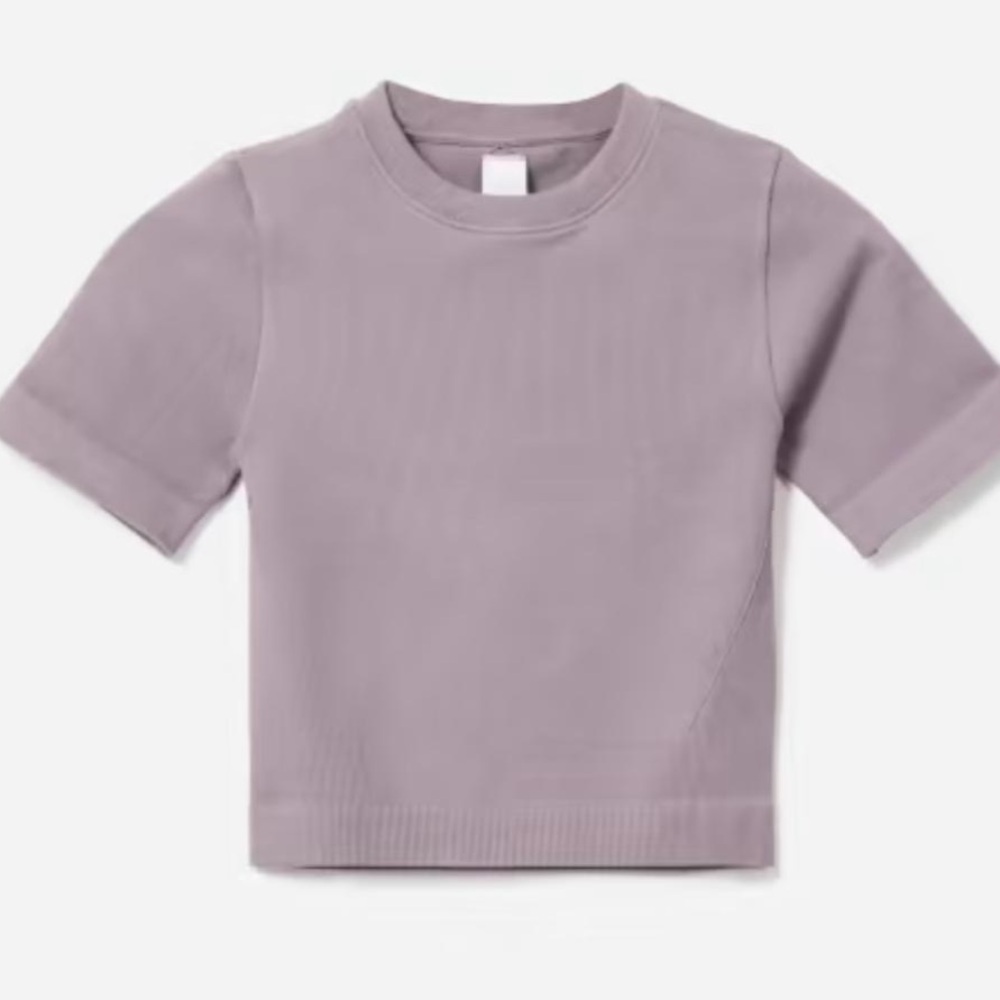 Everlane the Seamless Tee Dusty Lavender
